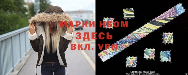 прущие грибы Алзамай