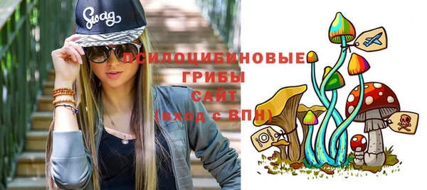 твердый Горняк