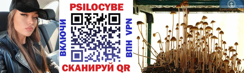Псилоцибиновые грибы GOLDEN TEACHER  МЕГА зеркало  Арск  сколько стоит 